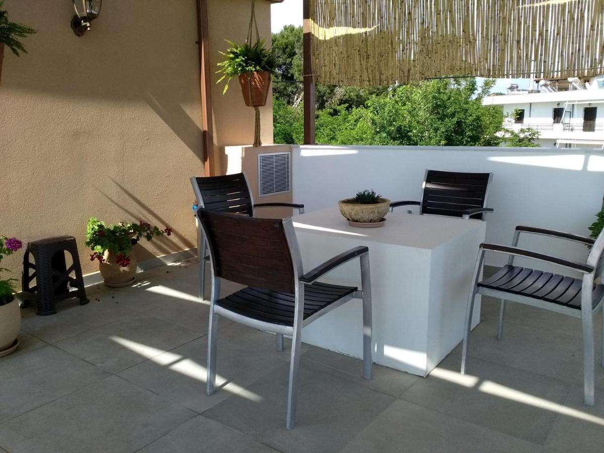 Alkioni's Nest Apartment Arkoudi